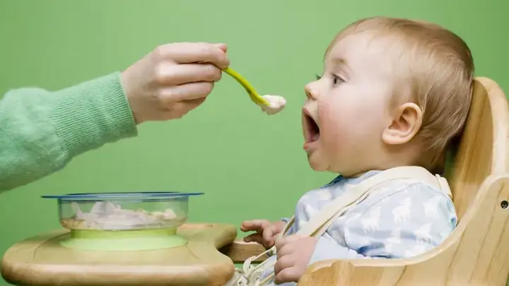 Giải Đáp: 1 Tuần Nên Cho Bé Ăn Mấy Bữa Lươn Theo Độ Tuổi