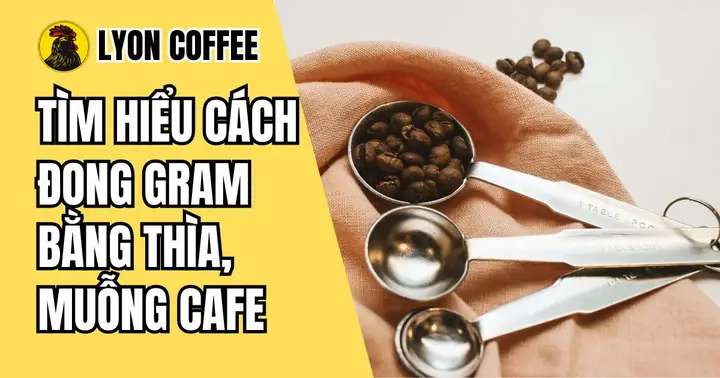 50g Bằng Bao Nhiêu Muỗng: Cách Quy Đổi Chuẩn Cho Nấu Ăn Và Pha Chế 50g Bằng Bao Nhiêu Muỗng: Cách Quy Đổi Chuẩn Cho Nấu Ăn Và Pha Chế