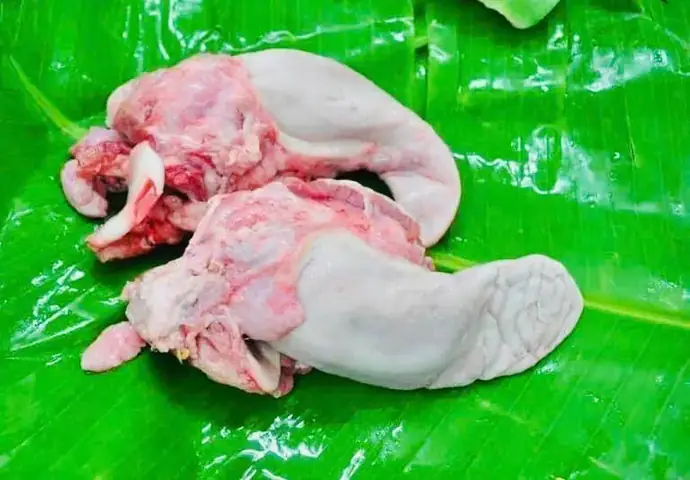 Ăn Lưỡi Heo Có Tốt Không: Lợi Ích, Rủi Ro Và Lưu Ý Sức Khỏe Ăn Lưỡi Heo Có Tốt Không: Lợi Ích, Rủi Ro Và Lưu Ý Sức Khỏe