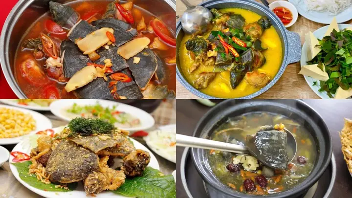 Ba Ba Ăn Cái Gì? Khám Phá Thức Ăn Cho Ba Ba Con Và Ba Ba Thịt