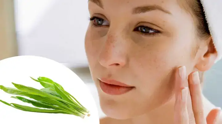 Bà Bầu Có Ăn Được Rau Ngò Gai Không? Lợi Ích, Rủi Ro Và Cách Dùng An Toàn