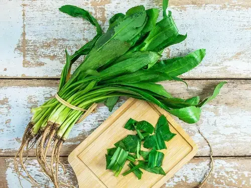 Bà Bầu Có Ăn Được Rau Ngò Gai Không? Lợi Ích, Rủi Ro Và Cách Dùng An Toàn