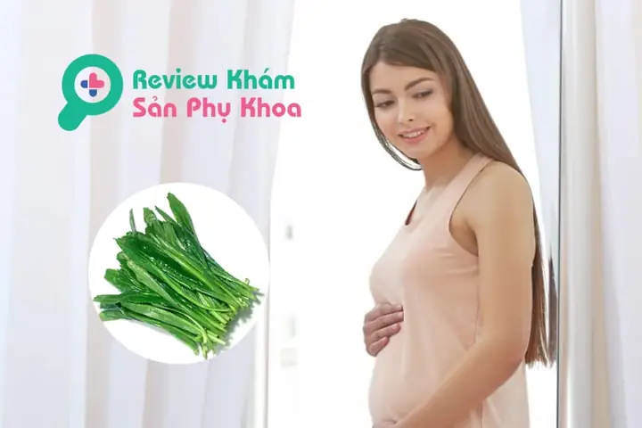Bà Bầu Có Ăn Được Rau Ngò Gai Không? Lợi Ích, Rủi Ro Và Cách Dùng An Toàn