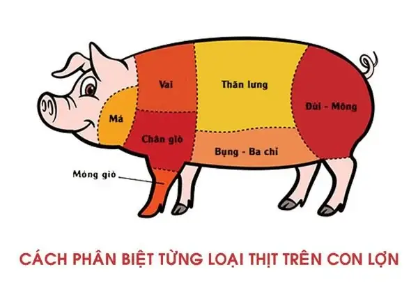Phân Biệt Ba Rọi Và Ba Chỉ: Khác Nhau Thế Nào Và Cách Nhận Biết Tại Chợ