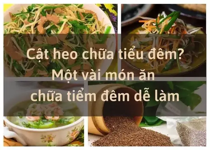 Hướng Dẫn Chi Tiết Các Bài Thuốc Từ Cật Heo (bồ Dục Lợn): Công Dụng, Cách Nấu Và Ai Nên Dùng