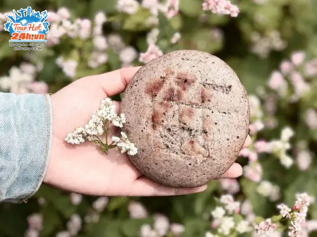 Khám Phá Bánh Hoa Tam Giác Mạch: Đặc Sản Vùng Cao Hà Giang Và Cách Làm Tại Nhà Khám Phá Bánh Hoa Tam Giác Mạch: Đặc Sản Vùng Cao Hà Giang Và Cách Làm Tại Nhà