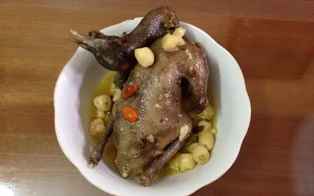 Bồ Câu Hầm Thuốc Bắc Quy Nhơn: Công Dụng, Cách Chế Biến & Địa Chỉ Uy Tín