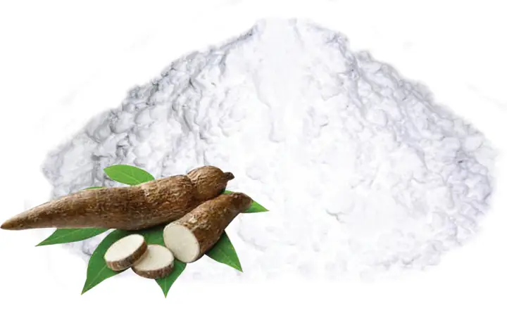 Bột Mì Làm Từ Cây Gì? Giải Đáp Nguồn Gốc Từ Lúa Mì Và Quy Trình Sản Xuất
