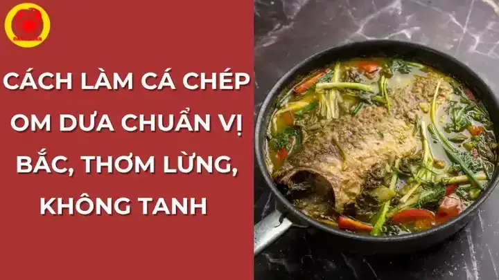 Hướng Dẫn Cách Làm Cá Chép Om Dưa Không Rán Tại Nhà Thơm Ngon Hướng Dẫn Cách Làm Cá Chép Om Dưa Không Rán Tại Nhà Thơm Ngon