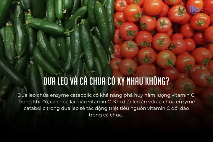 Cà Chua Và Dưa Leo Có Nên Ăn Chung Không Và Lý Do Từ Chuyên Gia Dinh Dưỡng Cà Chua Và Dưa Leo Có Nên Ăn Chung Không Và Lý Do Từ Chuyên Gia Dinh Dưỡng