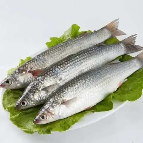 Cá Đối Biển Giá Bao Nhiêu Tiền 1kg Theo Loại Và Size Hiện Nay