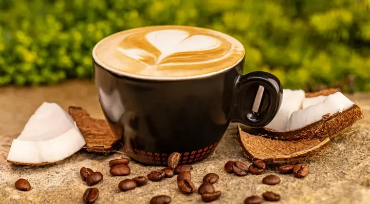 Tìm Hiểu Cà Phê Cốt Dừa Tiếng Anh Là Gì Và Cách Dùng Từ Vựng Cho Người Học Tiếng Anh Tìm Hiểu Cà Phê Cốt Dừa Tiếng Anh Là Gì Và Cách Dùng Từ Vựng Cho Người Học Tiếng Anh