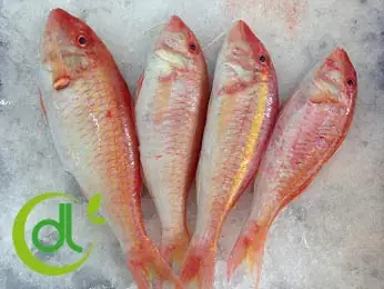 Phân Loại Cá Phèn: Có Bao Nhiêu Loại Và Đặc Điểm Nhận Biết Chi Tiết Phân Loại Cá Phèn: Có Bao Nhiêu Loại Và Đặc Điểm Nhận Biết Chi Tiết
