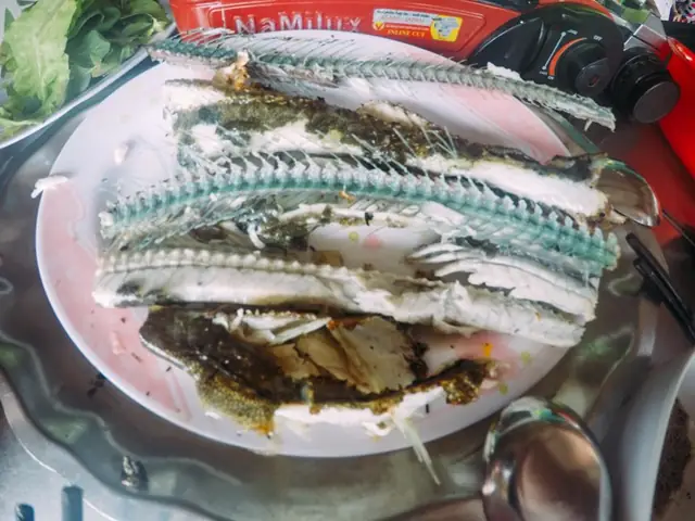 Cá Xương Xanh Là Cá Gì – Định Nghĩa, Tên Gọi Và Đặc Điểm Loài Cá Nhái