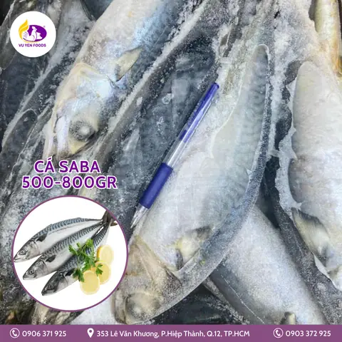 Tổng Hợp Các Loại Cá Biển Đông Lạnh Phổ Biến Và Cách Chế Biến Cho Gia Đình
