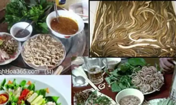 Tổng Hợp Các Loại Lá Ăn Gỏi Cá Phổ Biến Và Cách Dùng Cho Thực Khách Việt Tổng Hợp Các Loại Lá Ăn Gỏi Cá Phổ Biến Và Cách Dùng Cho Thực Khách Việt