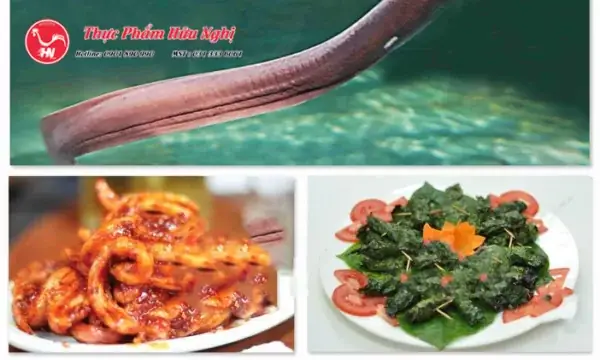 Cách Chế Biến Cá Mút Đá (cá Ninja) Từ Sơ Chế Đến Các Món Ngon Tại Nhà Cách Chế Biến Cá Mút Đá (cá Ninja) Từ Sơ Chế Đến Các Món Ngon Tại Nhà