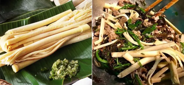 Hướng Dẫn Cách Sơ Chế Và Chế Biến Đọt Mây Đắng, Ngọt Đúng Chuẩn Từ A Đến Z