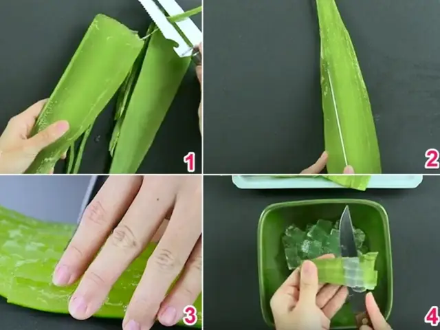 Hướng Dẫn Chi Tiết Cách Chế Biến Nha Đam Tươi Để Ăn Giòn Ngọt Không Đắng Nhớt Tại Nhà Hướng Dẫn Chi Tiết Cách Chế Biến Nha Đam Tươi Để Ăn Giòn Ngọt Không Đắng Nhớt Tại Nhà