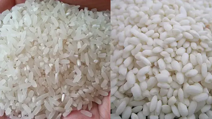 Hướng Dẫn Đong Nước Nấu Cháo Chuẩn Tỷ Lệ Theo Từng Đối Tượng
