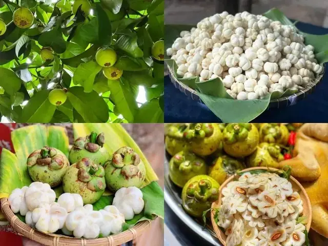 Hướng Dẫn Chi Tiết Cách Gọt Măng Cụt Xanh Không Dính Tay, Giữ Trắng Tươi Cho Người Nội Trợ Hướng Dẫn Chi Tiết Cách Gọt Măng Cụt Xanh Không Dính Tay, Giữ Trắng Tươi Cho Người Nội Trợ