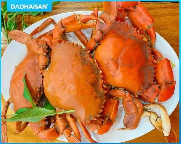 Cách Hấp Cua Cà Mau Ngon Ngọt, Chắc Thịt Không Rụng Càng – Hướng Dẫn Chi Tiết Từ Sơ Chế Đến Thành Phẩm