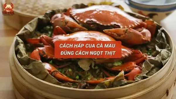 Cách Hấp Cua Cà Mau Ngon Ngọt, Chắc Thịt Không Rụng Càng – Hướng Dẫn Chi Tiết Từ Sơ Chế Đến Thành Phẩm