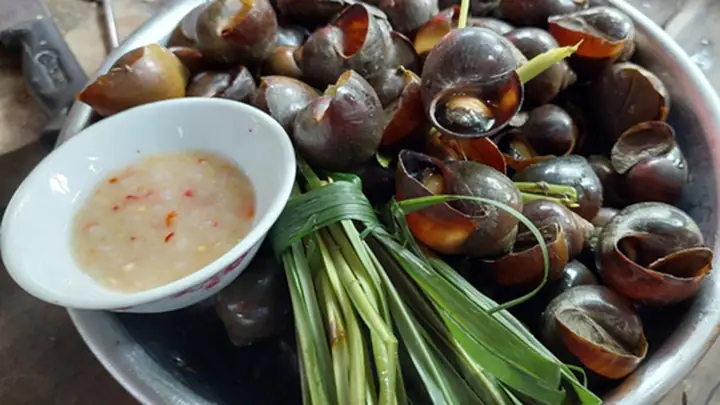 Hướng Dẫn Cách Làm Nước Chấm Cơm Mẻ Chấm Ốc Luộc Chuẩn Vị Tại Nhà