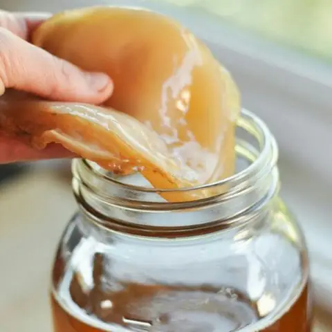 Hướng Dẫn Cách Làm Con Giống Scoby (men Kombucha) Tại Nhà Cho Người Mới