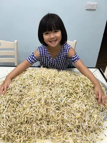Cách Làm Giá Đỗ Số Lượng Nhiều Tại Nhà Bằng Hệ Thống Nhiều Tầng Và Thùng Xốp Cách Làm Giá Đỗ Số Lượng Nhiều Tại Nhà Bằng Hệ Thống Nhiều Tầng Và Thùng Xốp