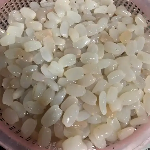 Hướng Dẫn Chi Tiết Cách Làm Hạt Đác Rim Thơm Bùi Béo Ngon Đơn Giản Tại Nhà Hướng Dẫn Chi Tiết Cách Làm Hạt Đác Rim Thơm Bùi Béo Ngon Đơn Giản Tại Nhà