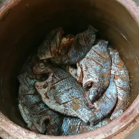 Hướng Dẫn Chi Tiết Cách Làm Mắm Cá Rô Phi Tại Nhà Thơm Ngon Đậm Đà Hướng Dẫn Chi Tiết Cách Làm Mắm Cá Rô Phi Tại Nhà Thơm Ngon Đậm Đà
