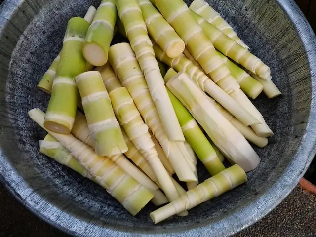 Hướng Dẫn Cách Làm Măng Chua Màu Vàng Giòn Ngon, Không Đắng Tại Nhà Hướng Dẫn Cách Làm Măng Chua Màu Vàng Giòn Ngon, Không Đắng Tại Nhà