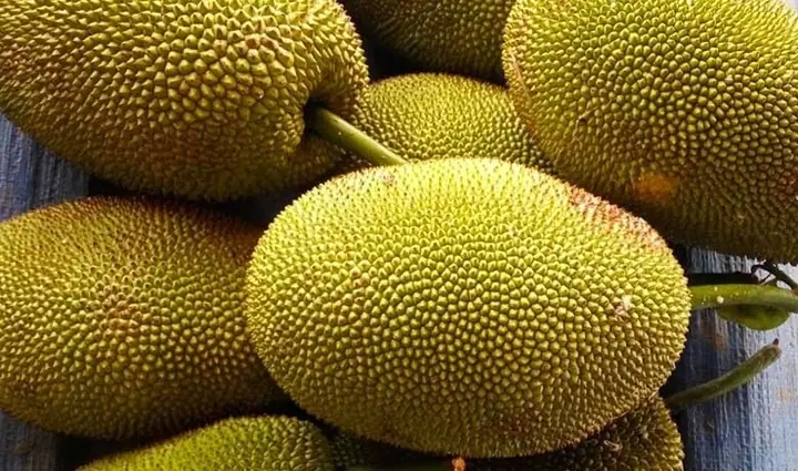 Hướng Dẫn Cách Làm Mít Nhanh Chín Bằng Muối Cho Mẹ Đảm: Trái Cây Ngọt Thơm, Không Sượng