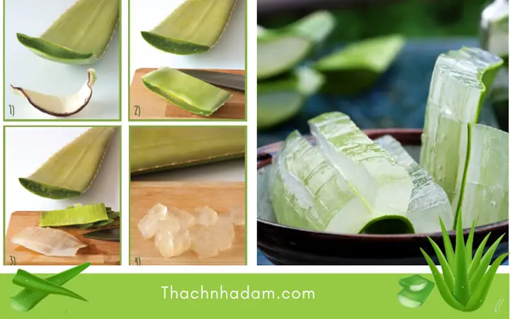 Cách Sơ Chế Nha Đam Giòn Ngon, Không Đắng Nhớt Đơn Giản Tại Nhà