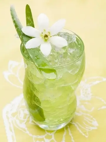 Hướng Dẫn Cách Làm Nước Nha Đam Với Đường Trắng Giòn Ngọt Tại Nhà
