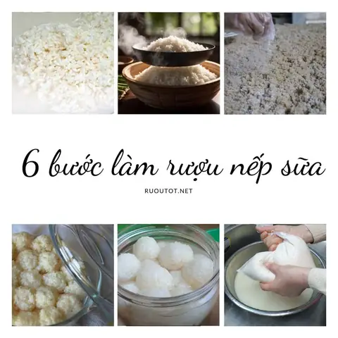 Hướng Dẫn Chi Tiết Cách Làm Rượu Nếp Sữa Tại Nhà Thơm Ngon, Đơn Giản