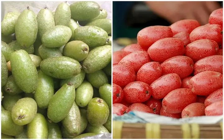 Hướng Dẫn Chi Tiết Cách Làm Sạch Phấn Quả Nhót Tại Nhà
