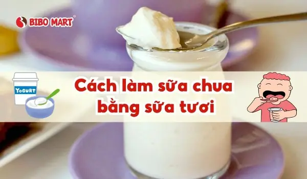 Hướng Dẫn Cách Làm Sữa Chua Bỏ Tủ Lạnh Mịn Màng Không Dăm Đá Tại Nhà