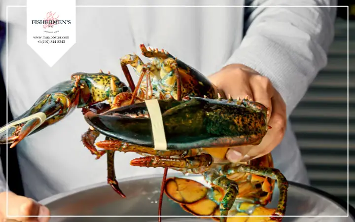 Cách Làm Tôm Hùm Sống Tại Nhà: Sơ Chế Và Chế Biến Chuẩn Đầu Bếp Cách Làm Tôm Hùm Sống Tại Nhà: Sơ Chế Và Chế Biến Chuẩn Đầu Bếp