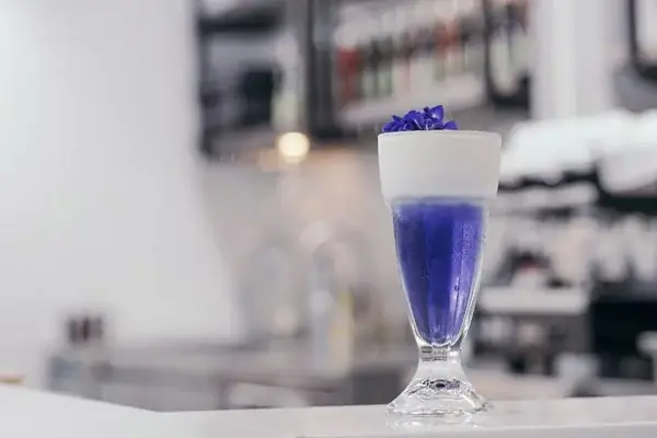 Hướng Dẫn Cách Làm Trà Hoa Đậu Biếc Macchiato Tại Nhà