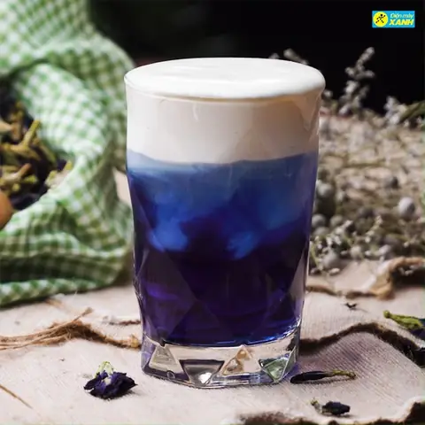 Hướng Dẫn Cách Làm Trà Hoa Đậu Biếc Macchiato Tại Nhà