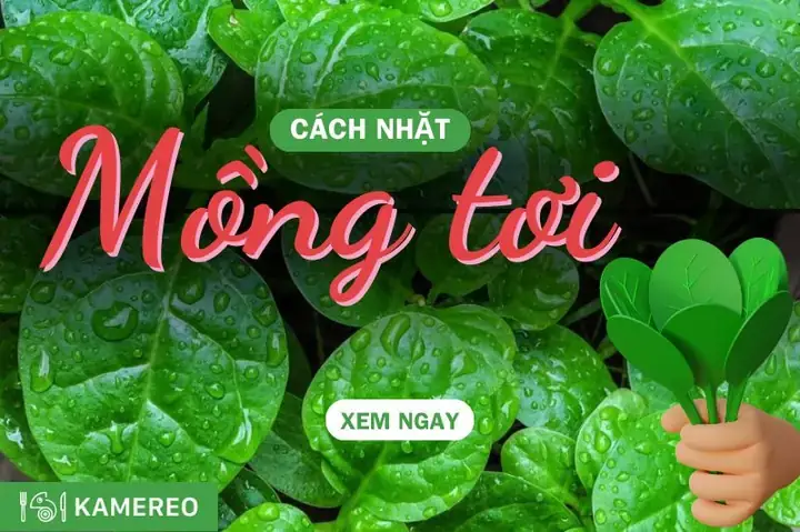 Hướng Dẫn Cách Lặt Rau Tần Ô (cải Cúc) Đúng Chuẩn Cho Người Vụng Về Hướng Dẫn Cách Lặt Rau Tần Ô (cải Cúc) Đúng Chuẩn Cho Người Vụng Về