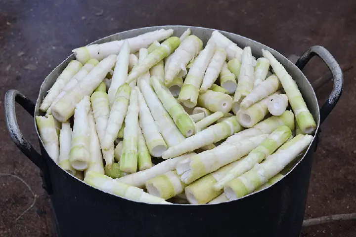 Hướng Dẫn Cách Luộc Măng Tươi Không Bị Đắng Và Khử Độc Cho Bếp Ăn Gia Đình Từ Nguyên Liệu Quen Thuộc