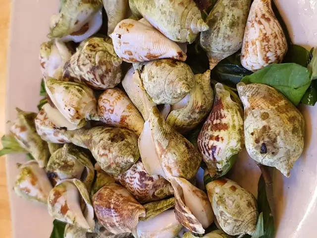 Cách Luộc Ốc Nhảy Ngon, Không Bị Thụt Giòn Dai Tại Nhà