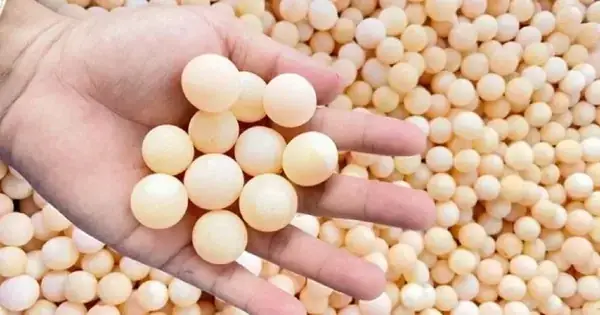 Hướng Dẫn Chi Tiết Cách Luộc Trứng Ba Ba Chuẩn Và Những Lưu Ý Khi Chế Biến