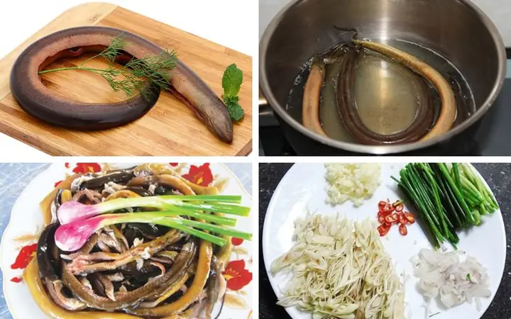 Hướng Dẫn Nấu Cháo Lươn Thơm Ngon, Không Tanh Chuẩn Vị Cho Cả Nhà
