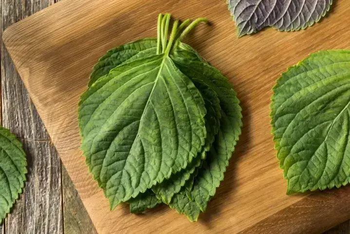 Hướng Dẫn Chi Tiết Cách Nấu Cháo Trứng Tía Tô Cho Bà Bầu Giải Cảm Hướng Dẫn Chi Tiết Cách Nấu Cháo Trứng Tía Tô Cho Bà Bầu Giải Cảm