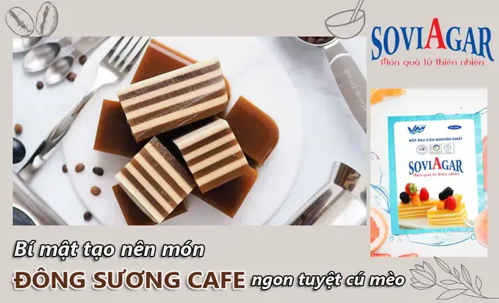 Cách Nấu Đông Sương Agar Giòn Ngon Tại Nhà Cho Người Mới Bắt Đầu