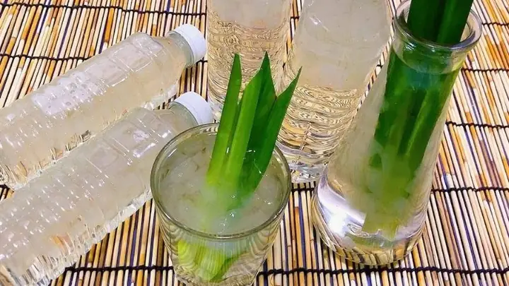 Cách Nấu Nha Đam Đường Phèn Thơm Ngon Không Bị Nhớt Và Đắng Tại Nhà